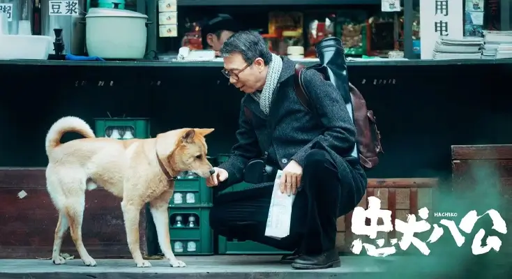 地区限制评价